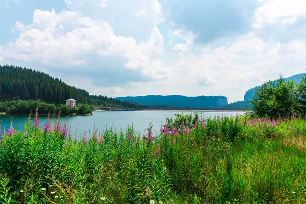 Amazing nature with lake and greenery around