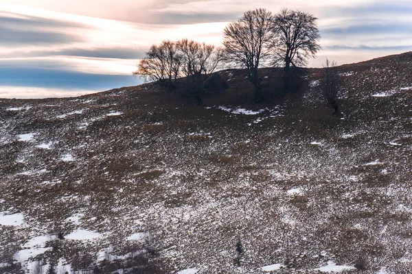 Prachtig Uitzicht Van Natuur Met Besneeuwde Bomen — Stockfoto