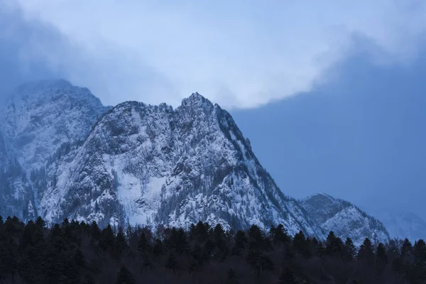 Atemberaubende Aussicht Auf Die Berge Mit Flauschigem Schnee Und Bäumen — Stockfoto