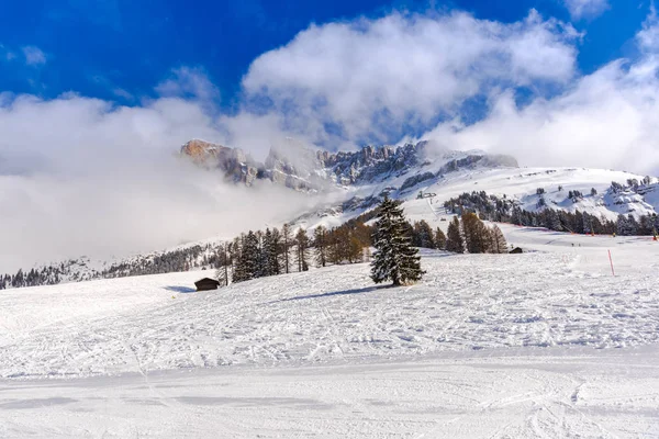 Vue Imprenable Sur Nature Avec Des Arbres Enneigés — Photo