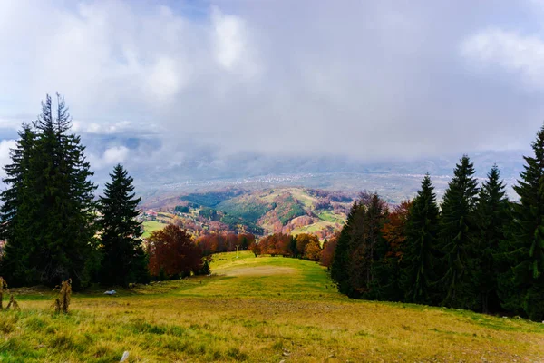 Increíble Vista Naturaleza Con Árboles Cielo Nublado Fondo —  Fotos de Stock