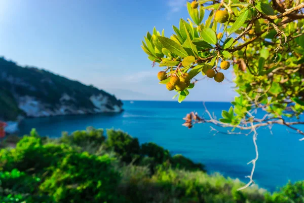 Affascinante Vista Sulla Natura Con Laguna Blu — Foto Stock