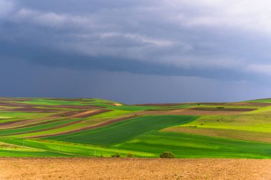 Yaz gününde inanılmaz manzara
