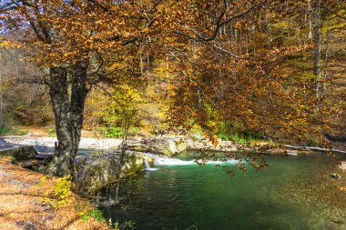 İlkbaharda Tuna Deltası manzarası