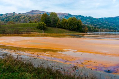 Turuncu renkli nehir ve çevresinde yeşil ağaçlar harika doğa manzaralı