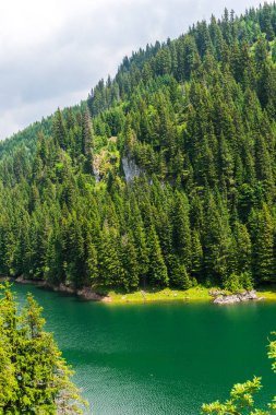 Büyüleyici doğa dağ manzaralı yeşil ağaçlar bol olan