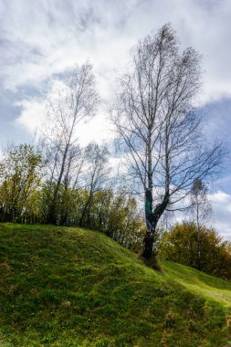 Ağaçlar ve bulutlu gökyüzü arka plan şaşırtıcı doğa manzaralı