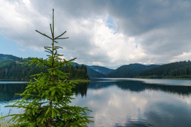 Nehir ve yeşil ağaçlar etrafında Awesome doğa görünümü