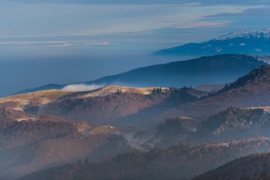 Karlı ağaçlar şaşırtıcı Doğa Manzaralı