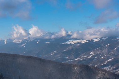 Karlı ağaçlar şaşırtıcı Doğa Manzaralı