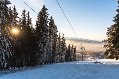 Çam ağaçları ve bulutlu gökyüzü arka plan şaşırtıcı doğa manzaralı