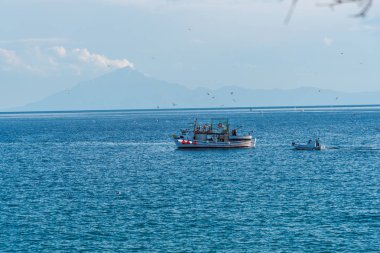 yaz doğa manzaralı 