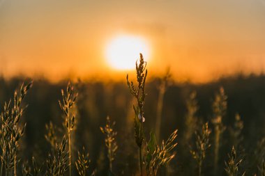 Bahar mevsiminde gün batımı bulutları