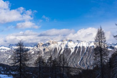 Karlı ağaçlar şaşırtıcı Doğa Manzaralı