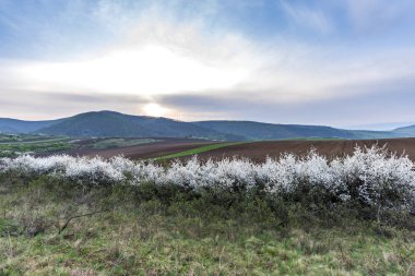 Dağlarla ve mavi gökyüzüyle manzara