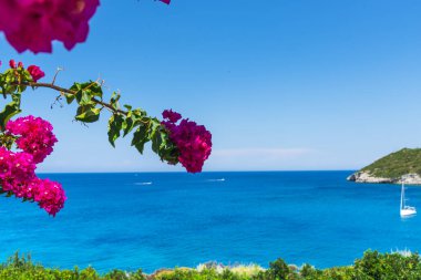 Arkasında deniz ile pembe çiçekler seçici odak 