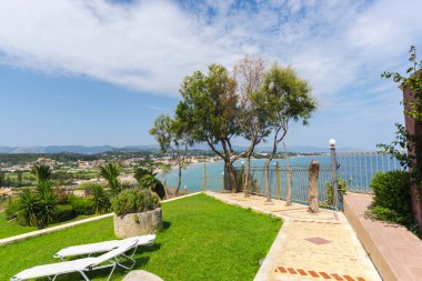 Açık havada otel de Palmiye ağacı ve yeşil çim 