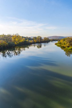 Şaşırtıcı doğa manzaralı güzel göl üzerinde orman çayır