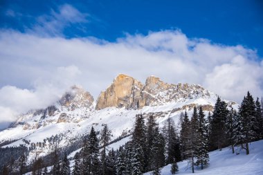 Çam ağaçları ve bulutlu gökyüzü arka plan şaşırtıcı doğa manzaralı