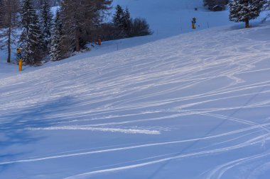 Ağaçlar ve bulutlu gökyüzü arka plan şaşırtıcı doğa manzaralı