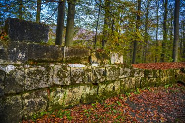 Yeşil yosunla kaplı taşlar