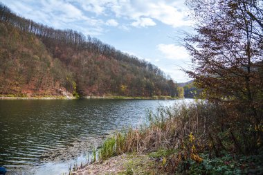 Ağaçlar manzaralı göl 