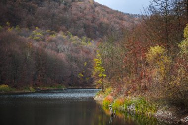 Nehri çevreleyen sonbahar ağaçları