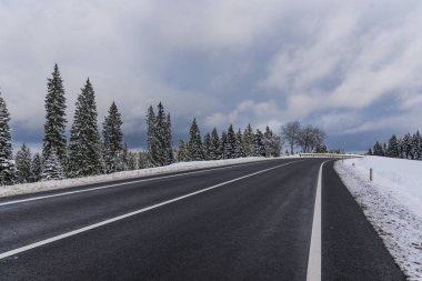 Karlı çam ağaçları ve bulutlu gökyüzü ile geniş yol