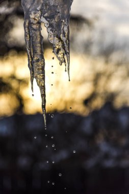 Doğa arka plan üzerinde büyük soğuk buz sarkıtları