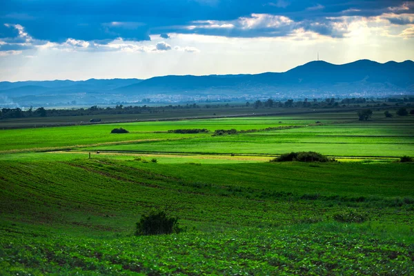 Vista Incrível Natureza Com Fundo Céu Nublado — Fotografia de Stock