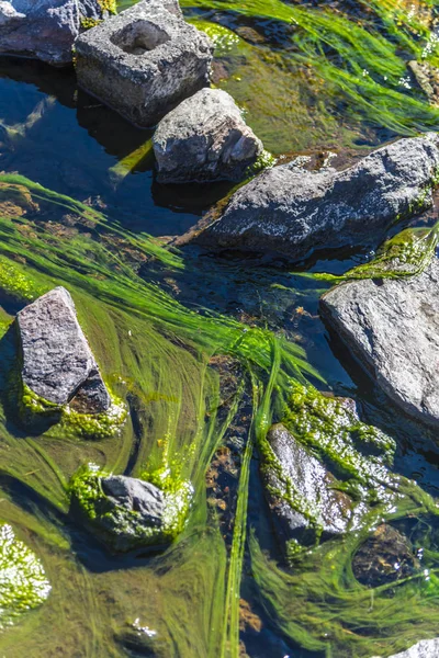 河流与绿色的青苔穿过高地 — 图库照片