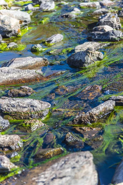 Rivière Avec Mousse Verte Traversant Les Hautes Terres — Photo