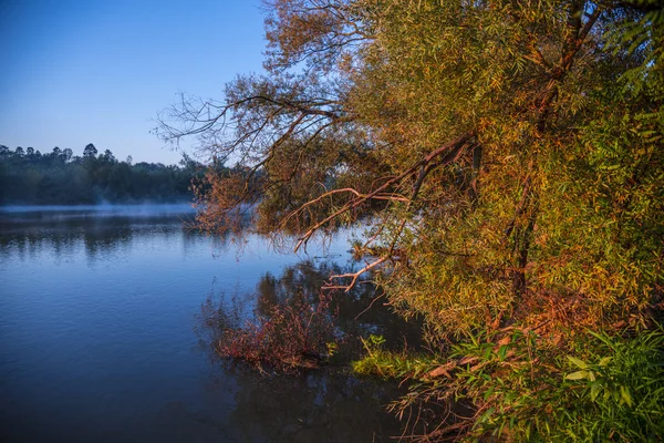 Удивительный Вид Природу Красивым Озером Лесном Склоне — стоковое фото