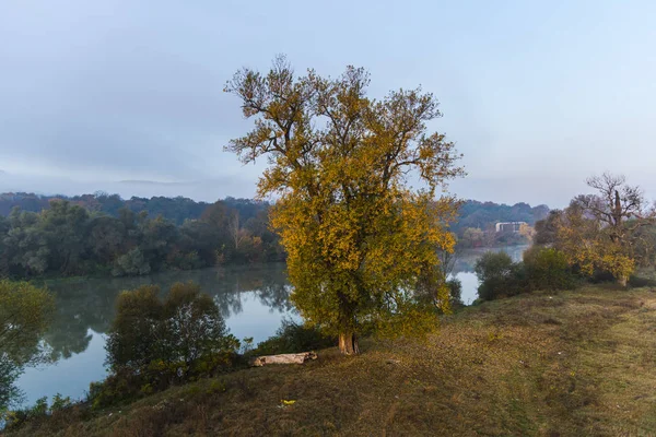 Niesamowity Widok Przyrodę Rzeką Górskim Tłem — Zdjęcie stockowe