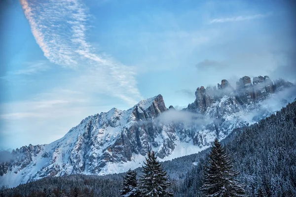 Vista Incrível Natureza Com Árvores Fundo Céu Nublado — Fotografia de Stock