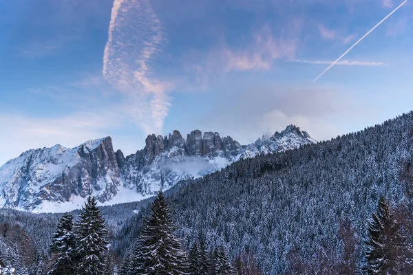 Vista Incrível Natureza Com Árvores Fundo Céu Nublado — Fotografia de Stock