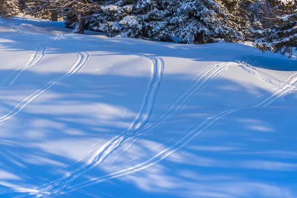 Increíble Vista Naturaleza Con Árboles Nevados —  Fotos de Stock