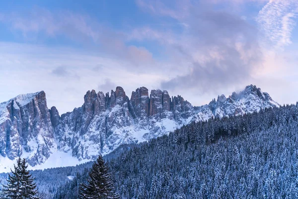 Vista Incrível Natureza Com Árvores Fundo Céu Nublado — Fotografia de Stock