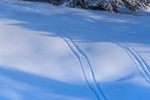 Stezky Bílém Sněhu Venku — Stock fotografie