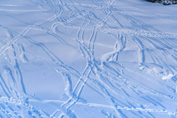 Trails White Snow Outdoor — Stock Photo, Image