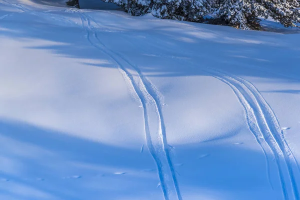 在白色雪户外小径 — 图库照片