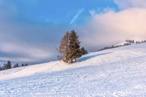 Fantastisk Natur Visa Med Träd Och Molnig Himmel Bakgrund — Stockfoto