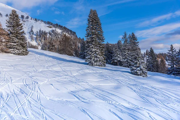 Vue Imprenable Sur Nature Avec Des Pins Ciel Nuageux — Photo