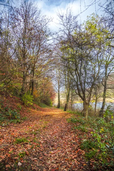 Amazing nature view on forest meadow