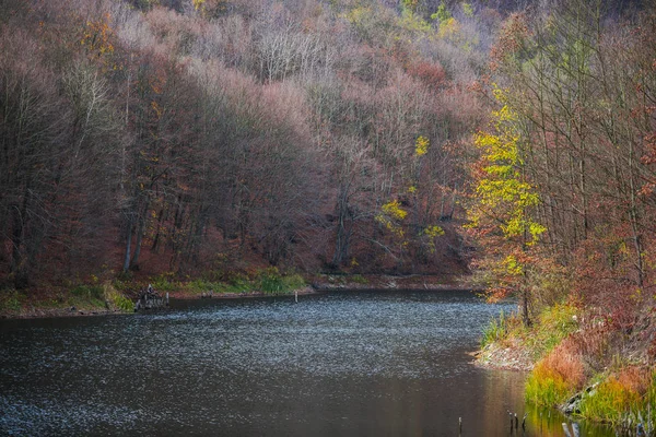 Nehri Çevreleyen Sonbahar Ağaçları — Stok fotoğraf
