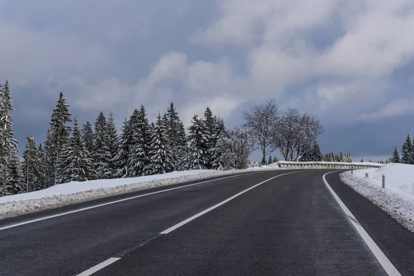 Karlı çam ağaçları ve bulutlu gökyüzü ile geniş yol