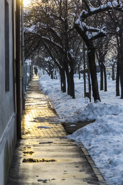Malá Městská Silnice Budovami Zimní Sezóna — Stock fotografie