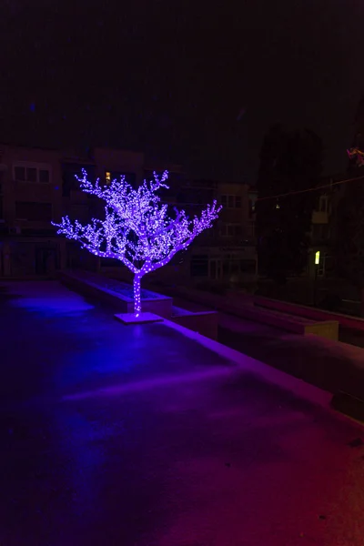 Albero Incredibile Con Illuminazione Blu Sulla Strada — Foto Stock