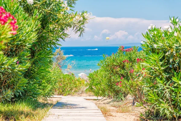 Tropikalna Plaża Palmami Błękitnym Niebem — Zdjęcie stockowe