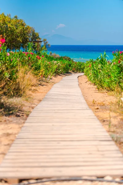 Trópusi Strand Kilátással Tengerre — Stock Fotó